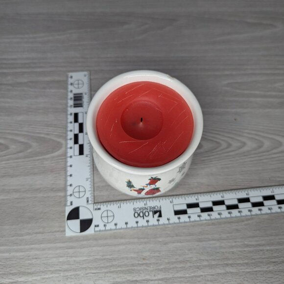 The White Barn Candle Co Snow Friends Collection Cinnamon Stick - Picture 8 of 11